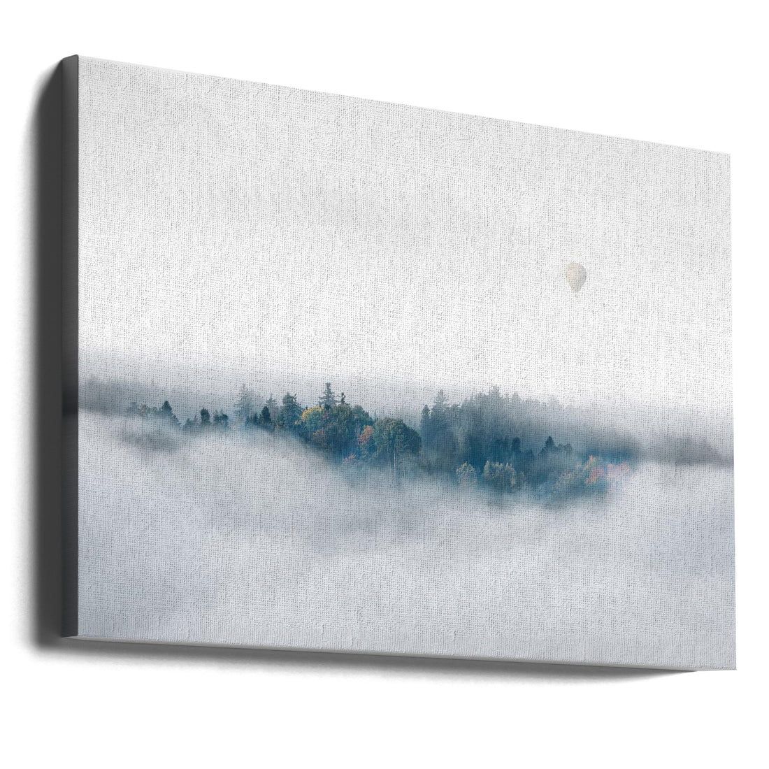 Misty Morning Surprise by Matthias Bergolth | Foggy Forest Flight, Large Canvas Wall Art Print | Artsy Earth