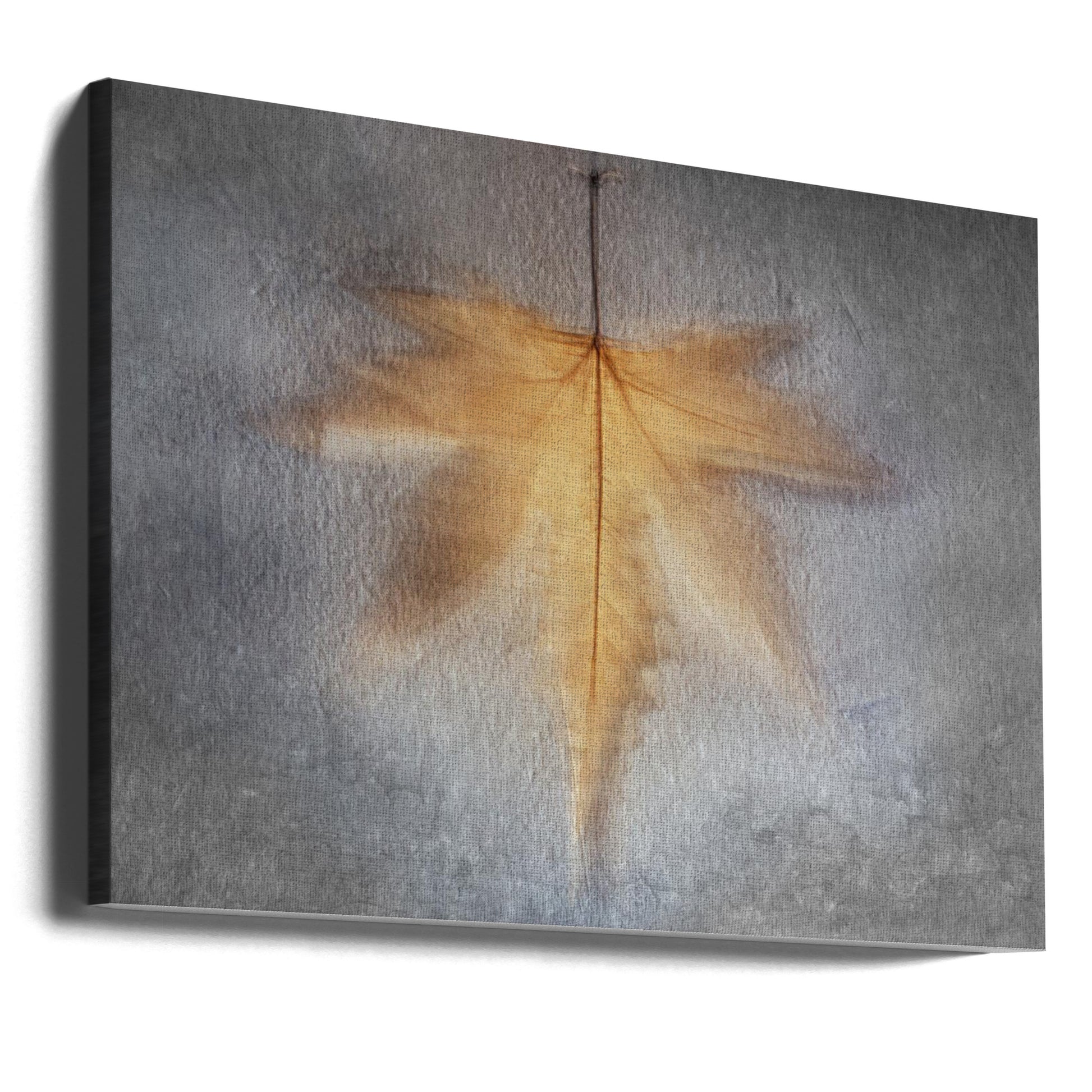 Illusions of the Past by Cicek Kiral | Blurry Mood Art, Large Canvas Wall Art Print | Artsy Earth