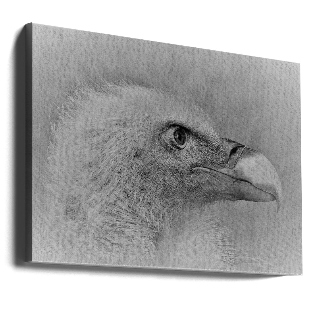 Bald Eagle by Cristian Andreescu | Black White Eagle Portrait, Large Canvas Wall Art Print | Artsy Earth