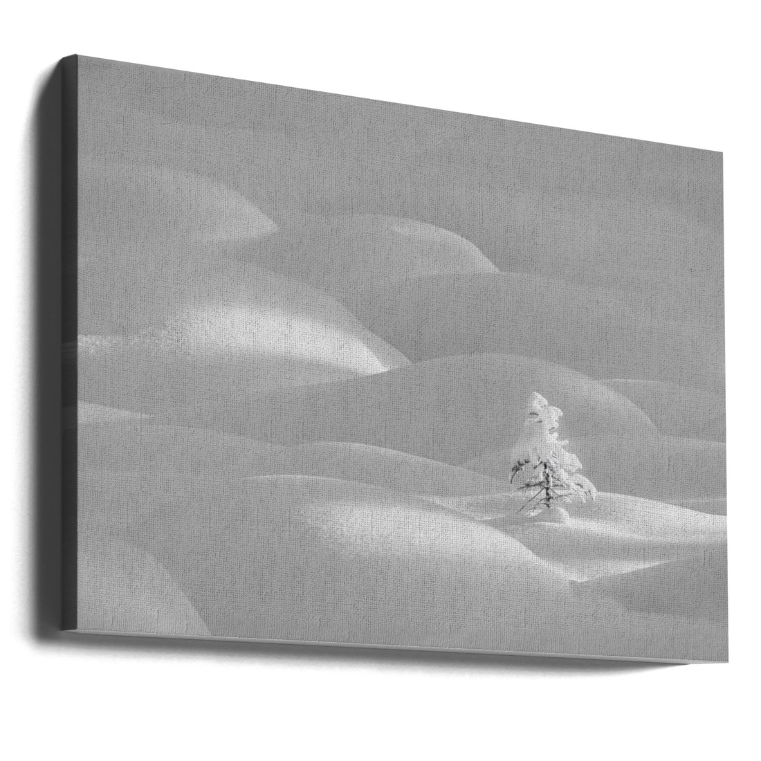 Lonely Winter Tree by Dennis Zhang | Minimalist Landscape, Large Canvas Wall Art Print | Artsy Earth