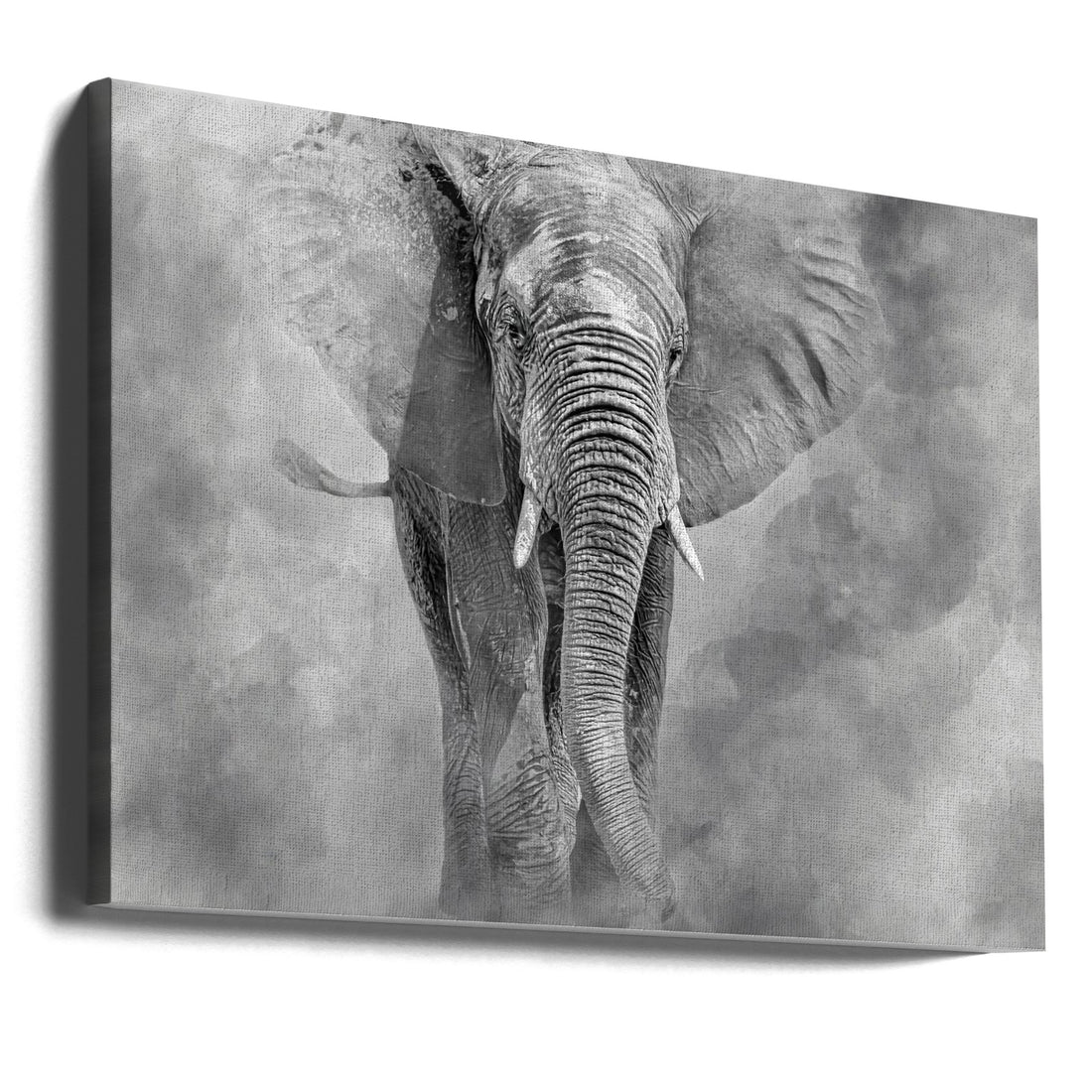 Majestic Elephant by Ilona Rosenkrancová | Black And White Animal, Large Canvas Wall Art Print | Artsy Earth