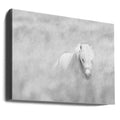 White Horse by Oles Paritskiy | Black And White Horse Field, Large Canvas Wall Art Print | Artsy Earth