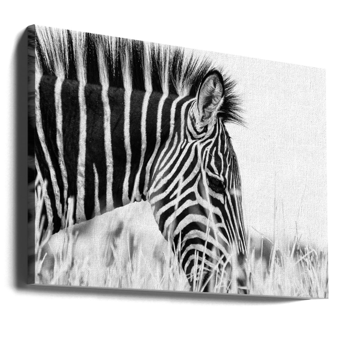 Fashionable black and white by Silvia Dinca | Zebra Wildlife Portrait, Large Canvas Wall Art Print | Artsy Earth