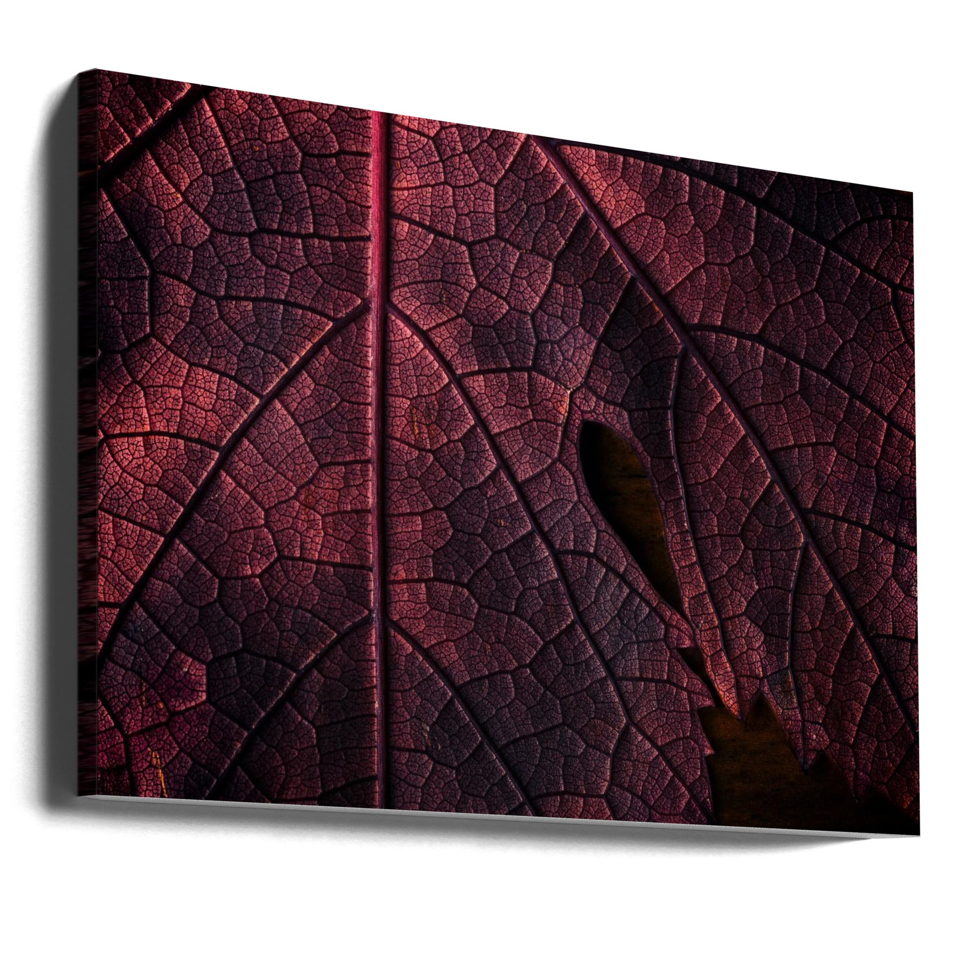 Autumn Abstract by Saleh Swid | Dark Rusty Pattern, Large Canvas Wall Art Print | Artsy Earth