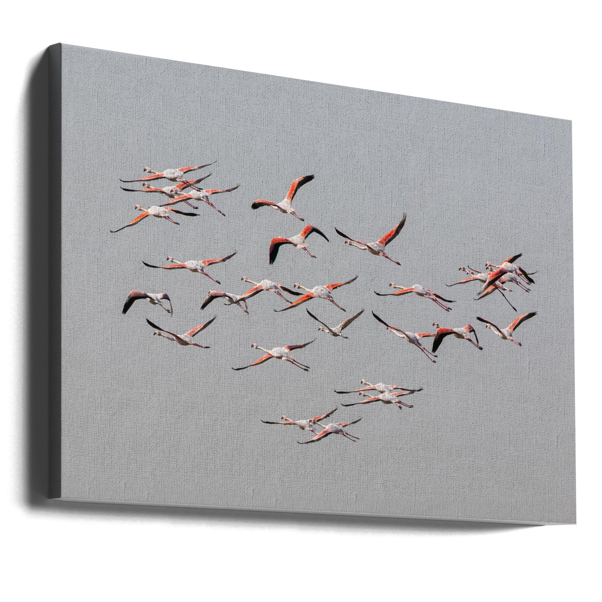 Greater Flamingos in Flight by Natalia Rublina | Wildlife Bird Formation, Large Canvas Wall Art Print | Artsy Earth