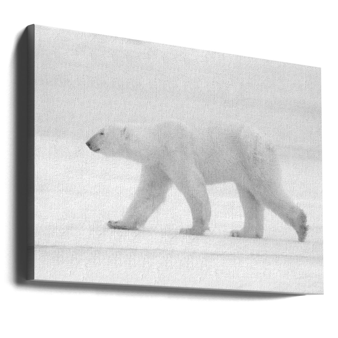 Just White by Marco Pozzi | Polar Bear Arctic, Large Canvas Wall Art Print | Artsy Earth