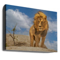 The Lion King by Yogesh Bhatia | Wild Lion Nature, Large Canvas Wall Art Print | Artsy Earth