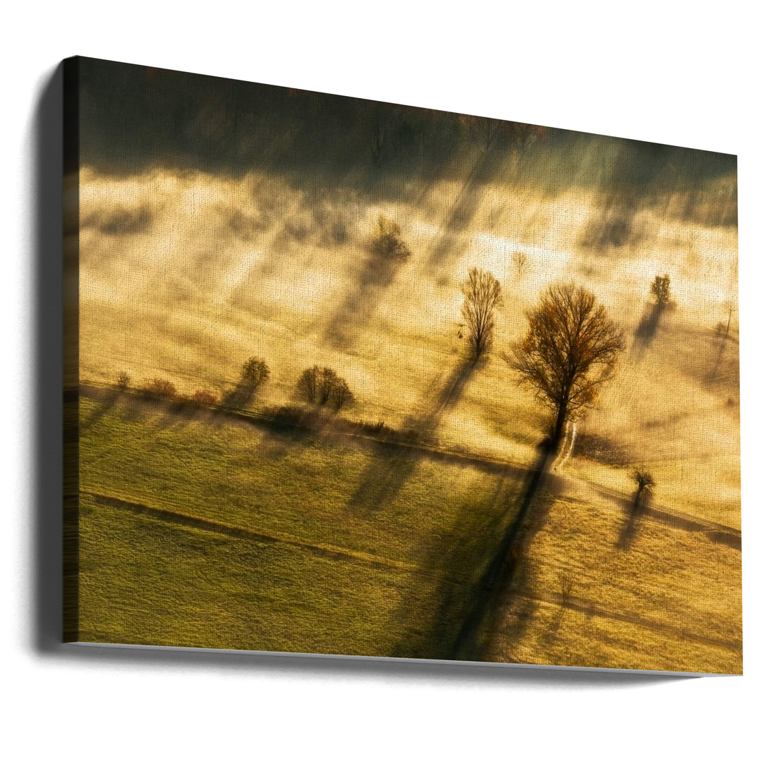 Misty Sunrise by Biffi Pietro | Foggy Forest Landscape, Large Canvas Wall Art Print | Artsy Earth