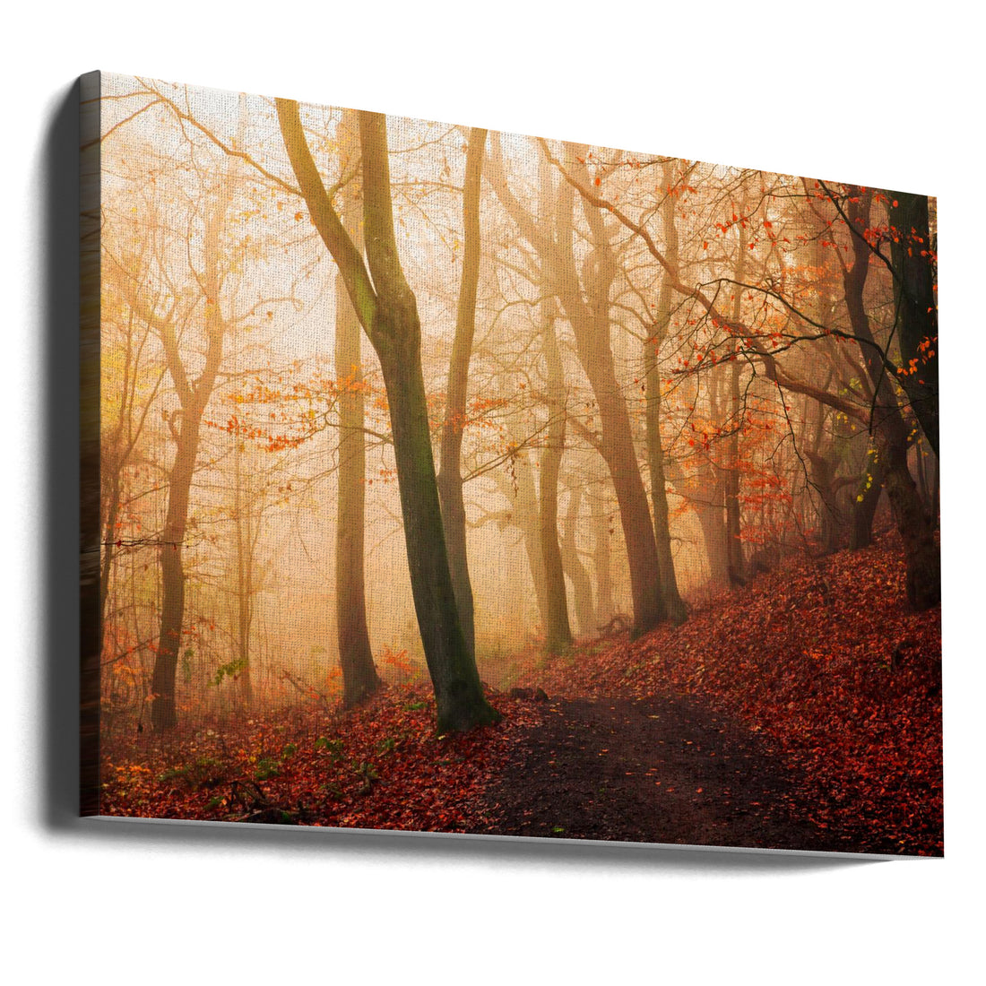 Forest Path Mist by Leif Løndal | Foggy Forest Path, Large Canvas Wall Art Print | Artsy Earth