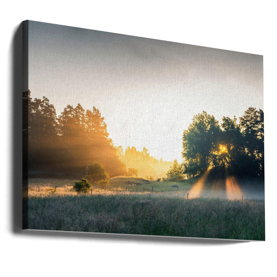 Summer field with sunrays by Christian Lindsten | Foggy Morning Landscape, Large Canvas Wall Art Print | Artsy Earth