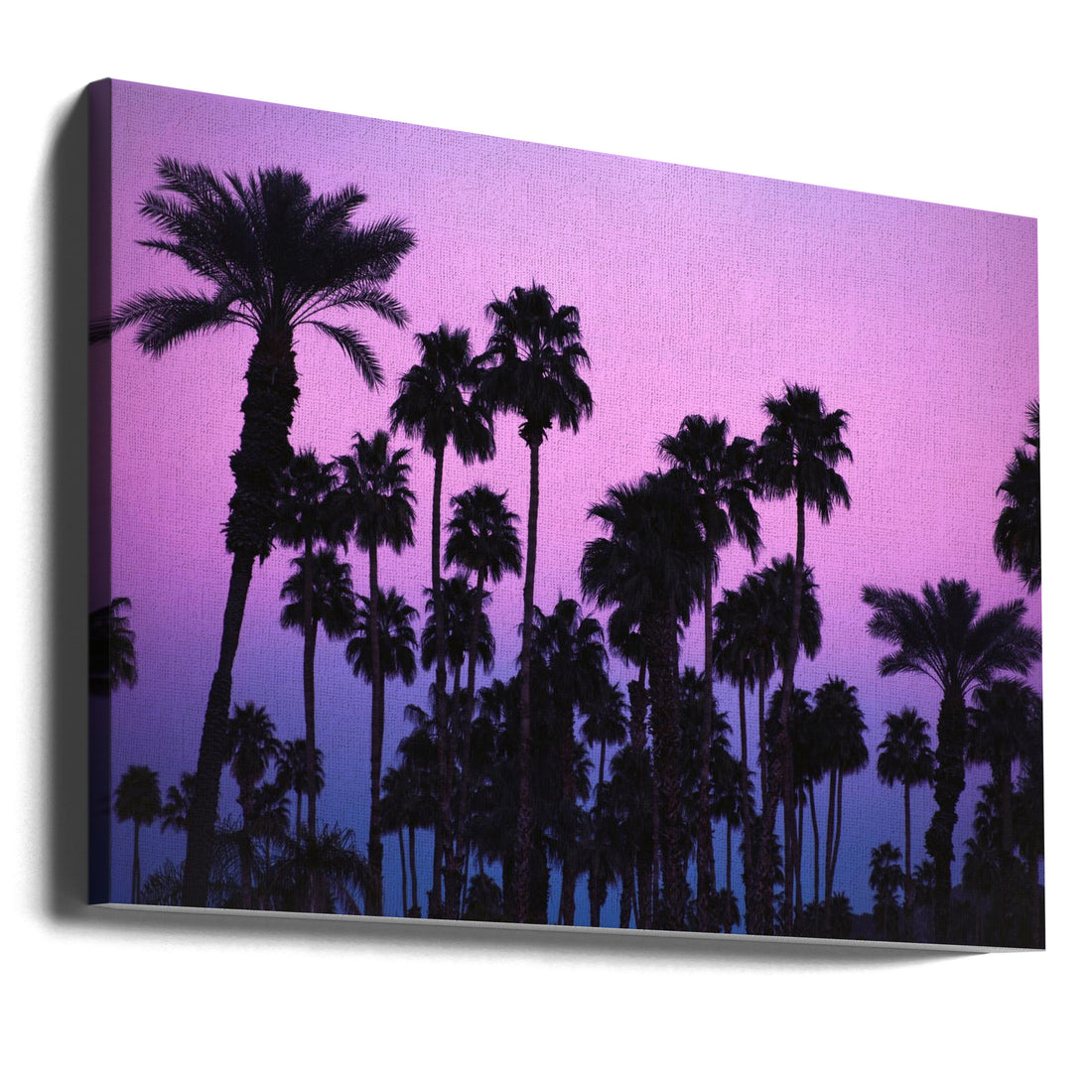 Palms with Pink Sky by Tim Mossholder | Tropical Paradise Sunset, Large Canvas Wall Art Print | Artsy Earth