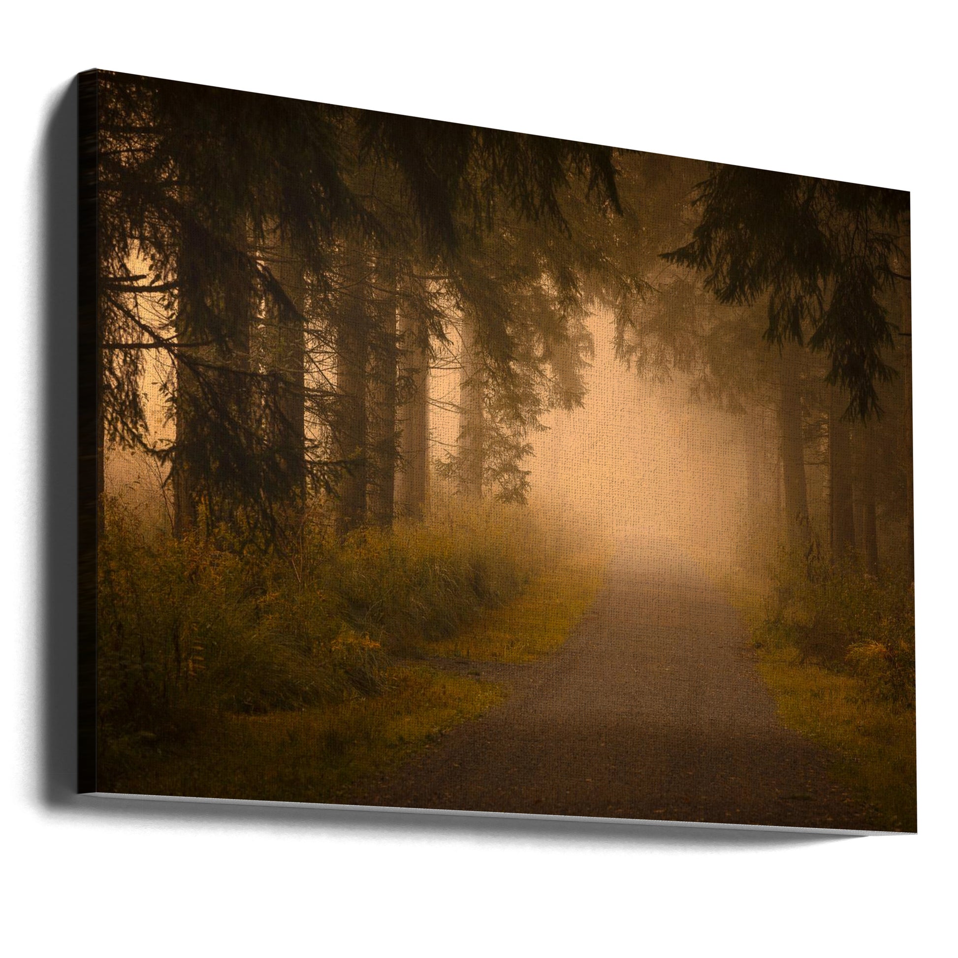 On the way into the fog by Norbert Maier | Misty Forest Path, Large Canvas Wall Art Print | Artsy Earth