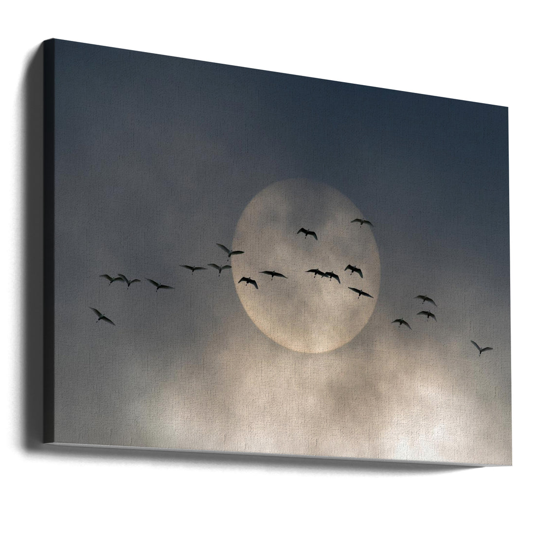 Wings by Walter Caterina | Flying Birds Nature, Large Canvas Wall Art Print | Artsy Earth