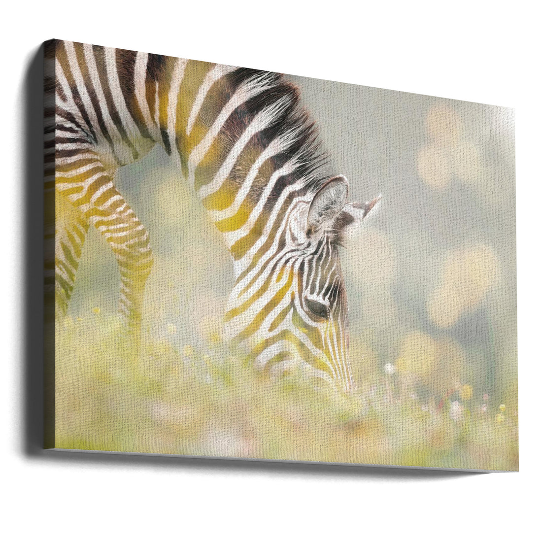 Wild Zebra Stripes by Jesus Concepcion Alvarado | Wildlife Nature Animal, Large Canvas Wall Art Print | Artsy Earth