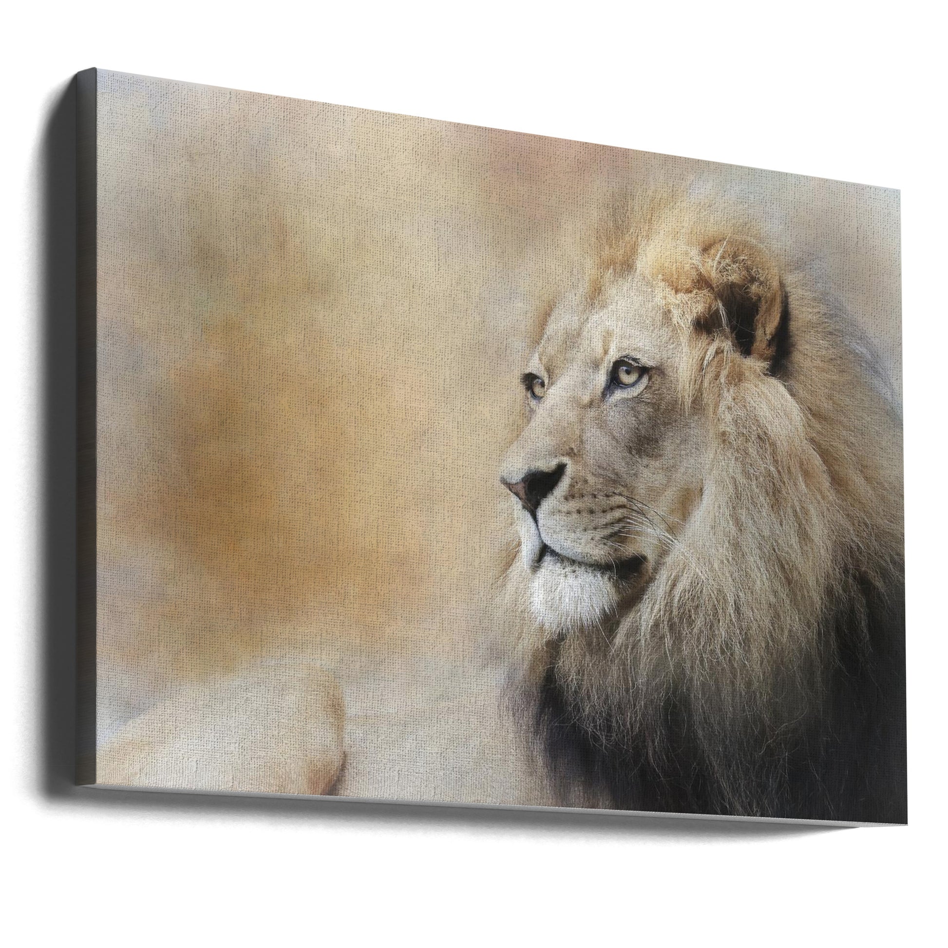 In Deep Thought by Linda D Lester | Lion Portrait Animal, Large Canvas Wall Art Print | Artsy Earth