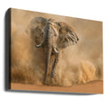 Desert Storm by Marcel Egger | African Wildlife Landscape, Large Canvas Wall Art Print | Artsy Earth