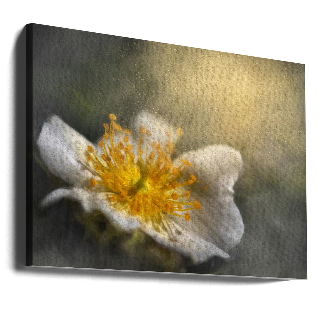 Dreaming Flowers by Cicek Kiral | Surreal Botanical Fantasy, Large Canvas Wall Art Print | Artsy Earth