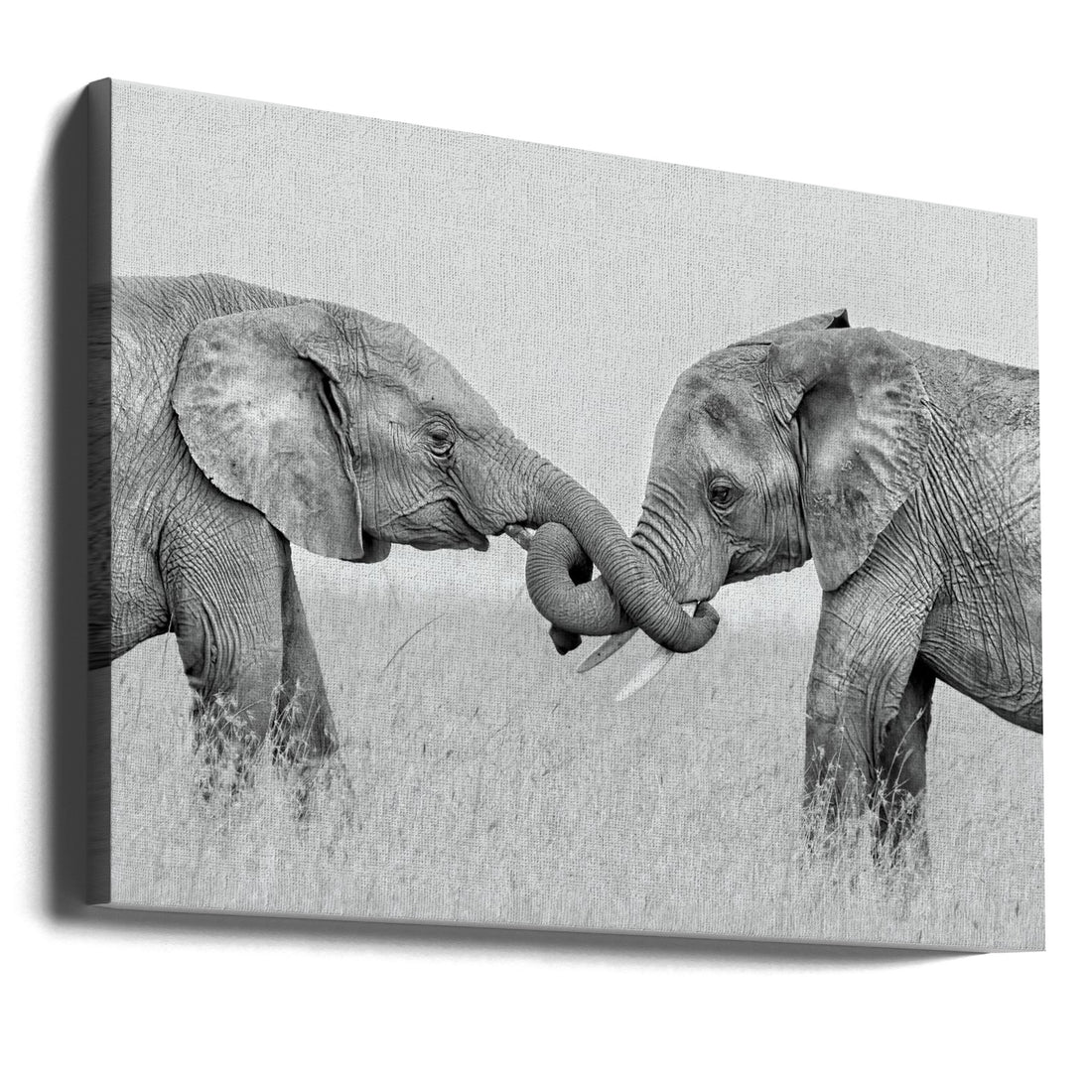 Confrontation by Jun Zuo | Wildlife Fighting Elephants, Large Canvas Wall Art Print | Artsy Earth