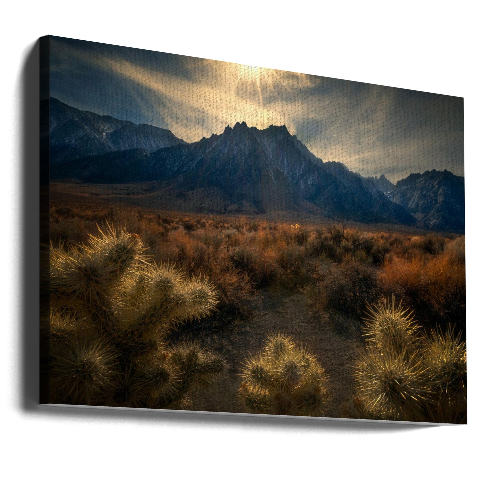 Golden Cactus by Ruiqing P. | Desert Landscape Mountains, Large Canvas Wall Art Print | Artsy Earth