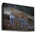 Leopard on the prowl by Xavier Ortega | African Wildlife Safari, Large Canvas Wall Art Print | Artsy Earth