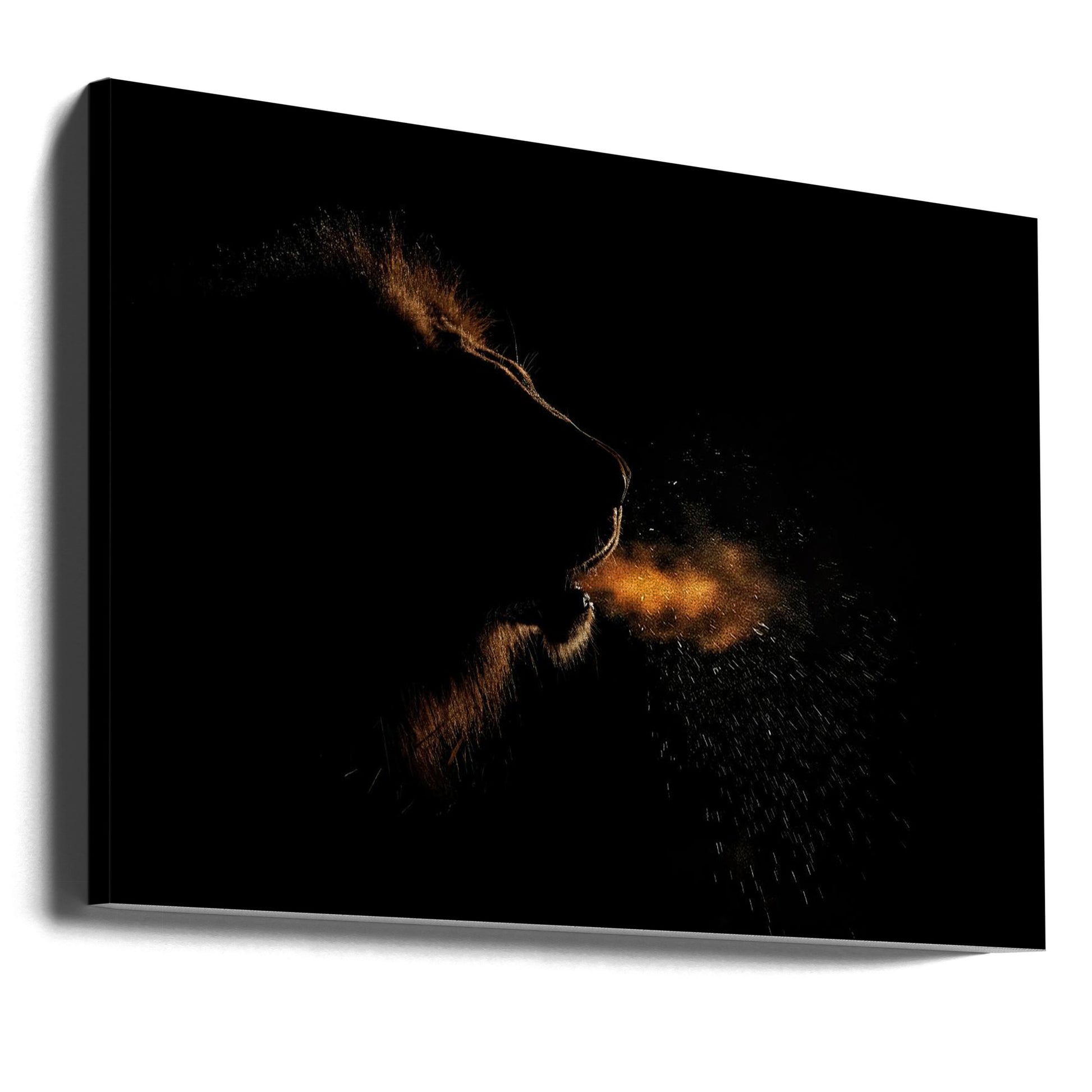 Breath of a King by Alessandro Catta | African Lion Silhouette, Large Canvas Wall Art Print | Artsy Earth