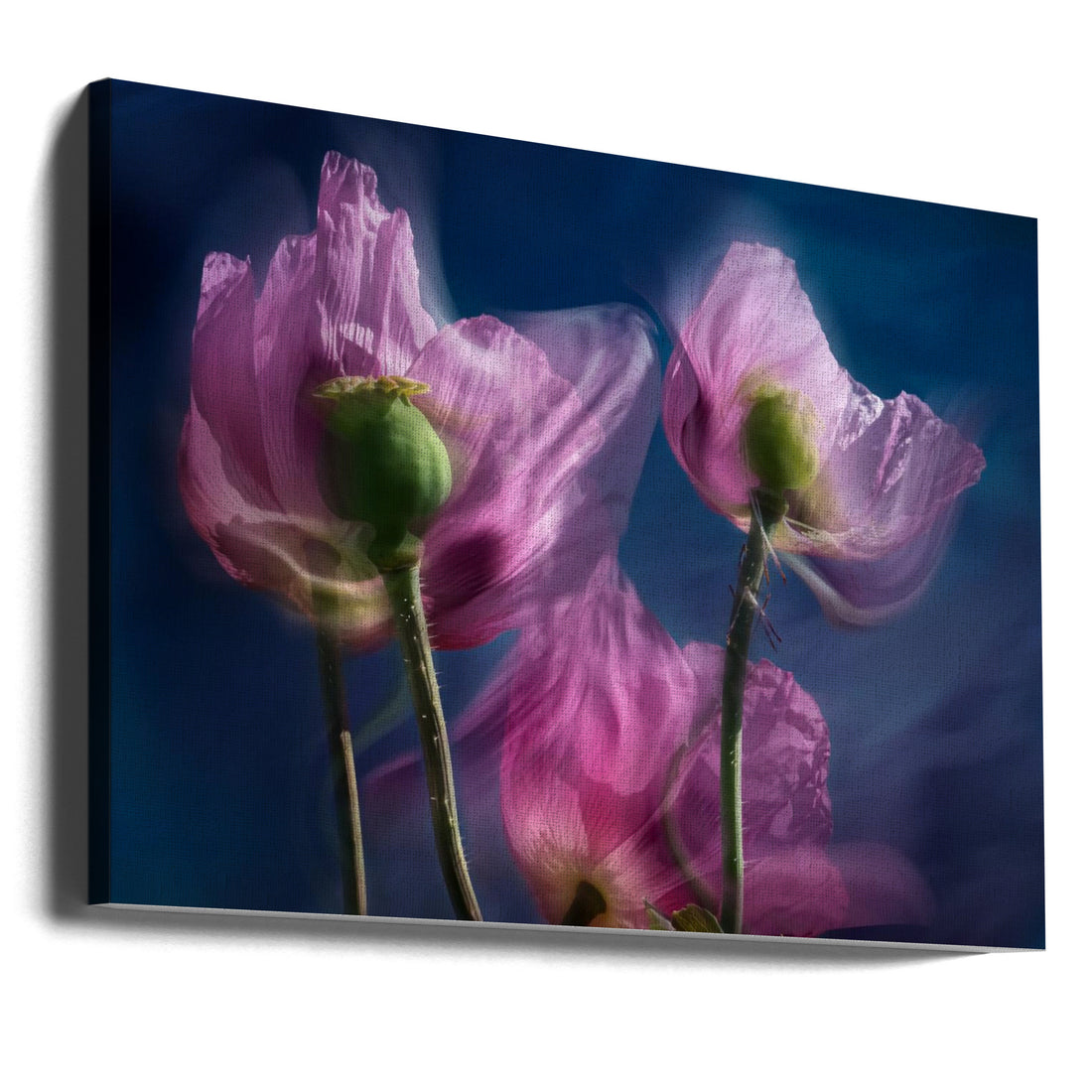 Poppies by The Wayside By Stephan Rückert | Blurred Floral Motion, Large Canvas Wall Art Print | Artsy Earth