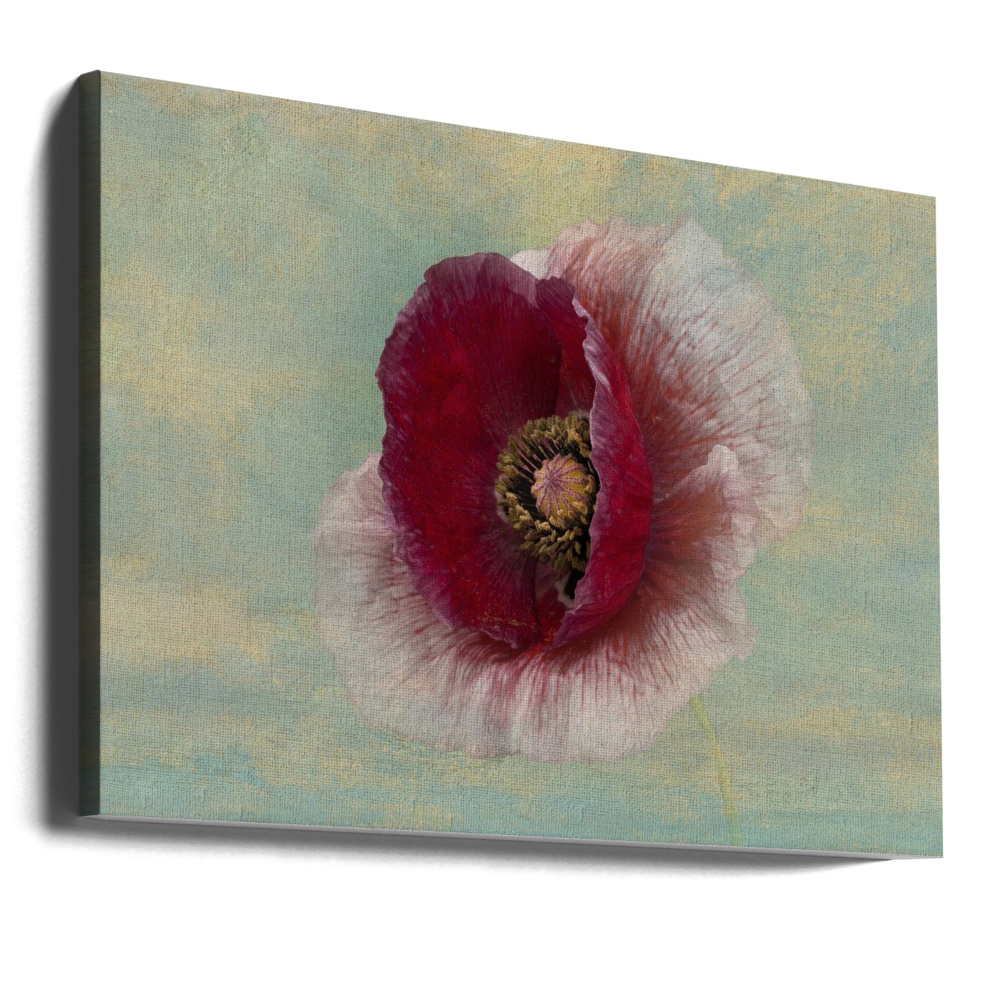 Burgundy Bonnet by Richard Urbanski | Floral Botanical Poppy, Large Canvas Wall Art Print | Artsy Earth