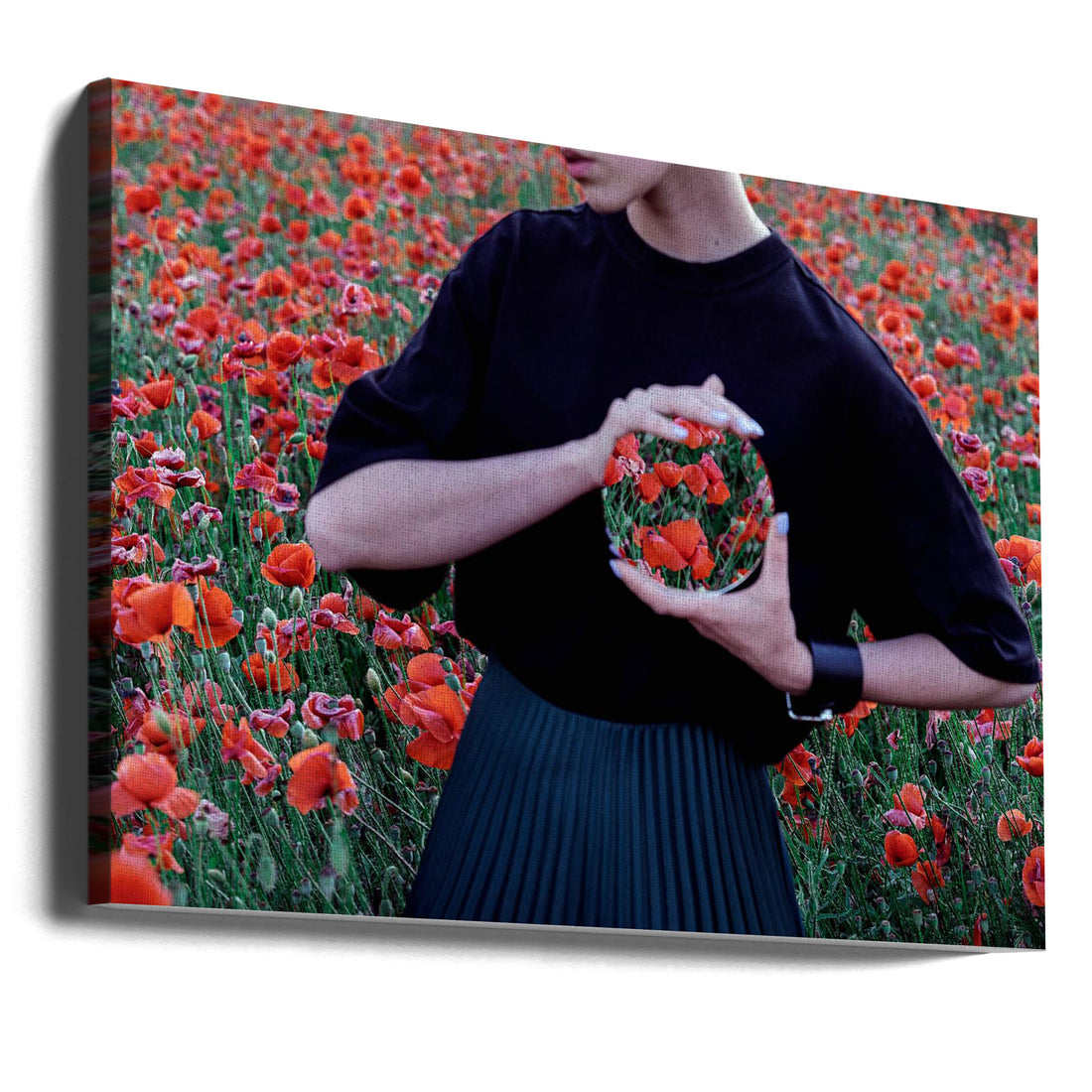 Red Poppy Portrait by Mykola Lebediev | Floral Summer Field, Large Canvas Wall Art Print | Artsy Earth