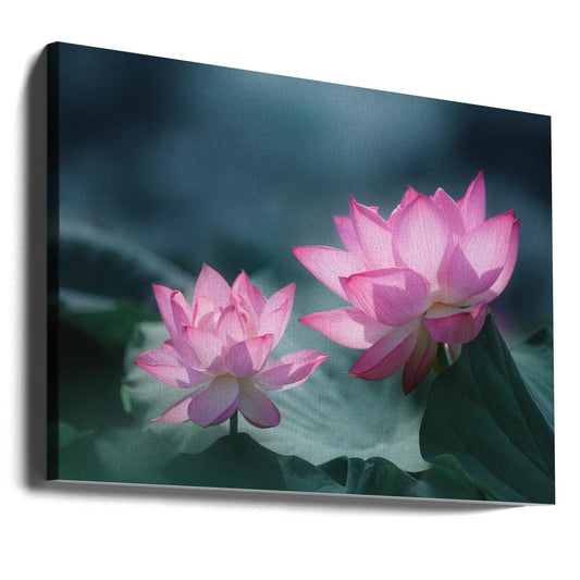 Views of different depths by Takashi Suzuki | Lotus Flower Macro, Large Canvas Wall Art Print | Artsy Earth