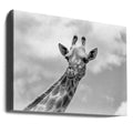 The Giraffe Wildlife by Regine Richter | African Safari Wildlife, Large Canvas Wall Art Print | Artsy Earth