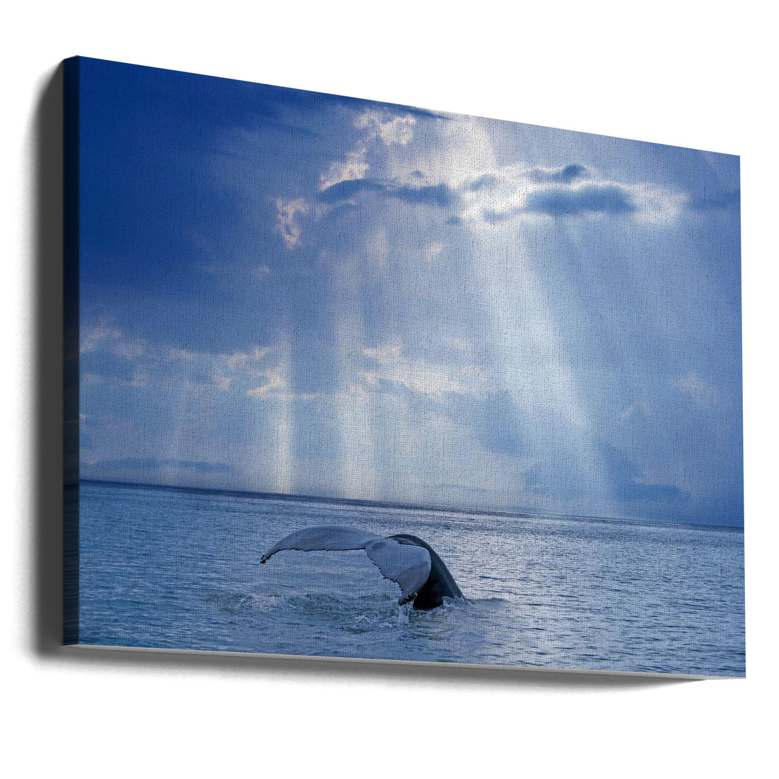 Whale and Sun Rays by Mircea Costina | Ocean Wildlife Scene, Large Canvas Wall Art Print | Artsy Earth