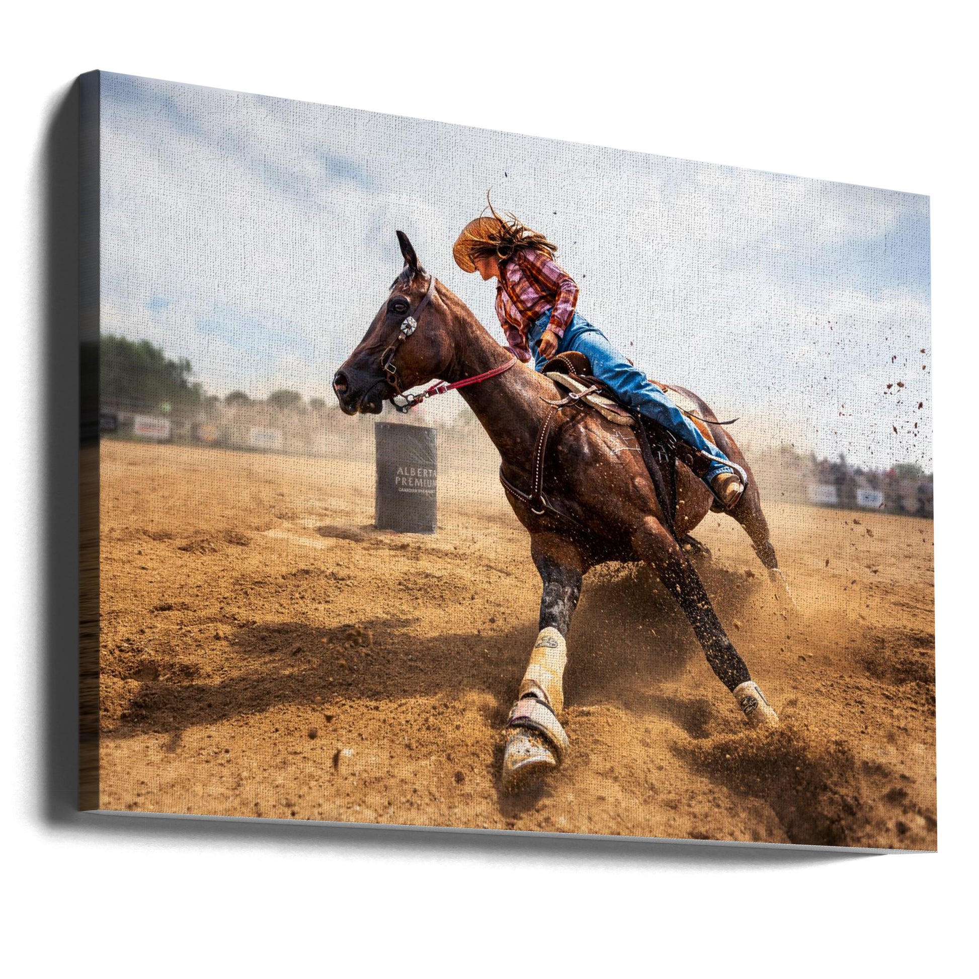 Slam on the Brakes by Steven Zhou | Horse Riding Action, Large Canvas Wall Art Print | Artsy Earth