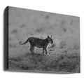 Morning Cat by Jaco Marx | Wild Feline Nature, Large Canvas Wall Art Print | Artsy Earth