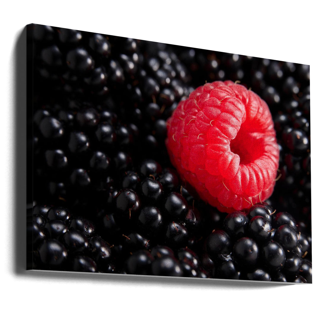 Berry Different by Drazen Sokac | Fresh Red Berries, Large Canvas Wall Art Print | Artsy Earth