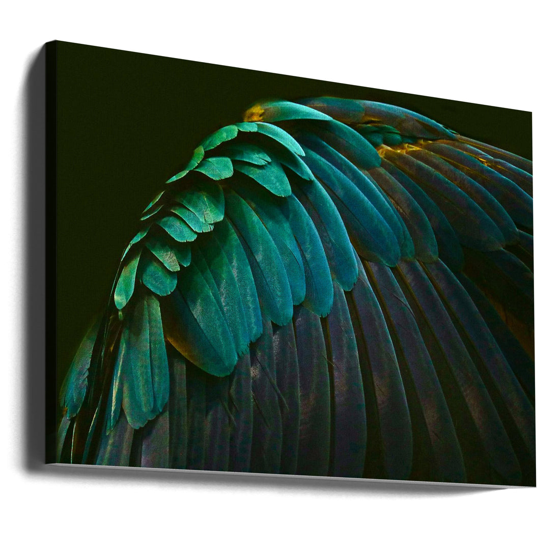 There's a bird in there somewhere by Robin Wechsler | Hidden Colorful Feathers, Large Canvas Wall Art Print | Artsy Earth