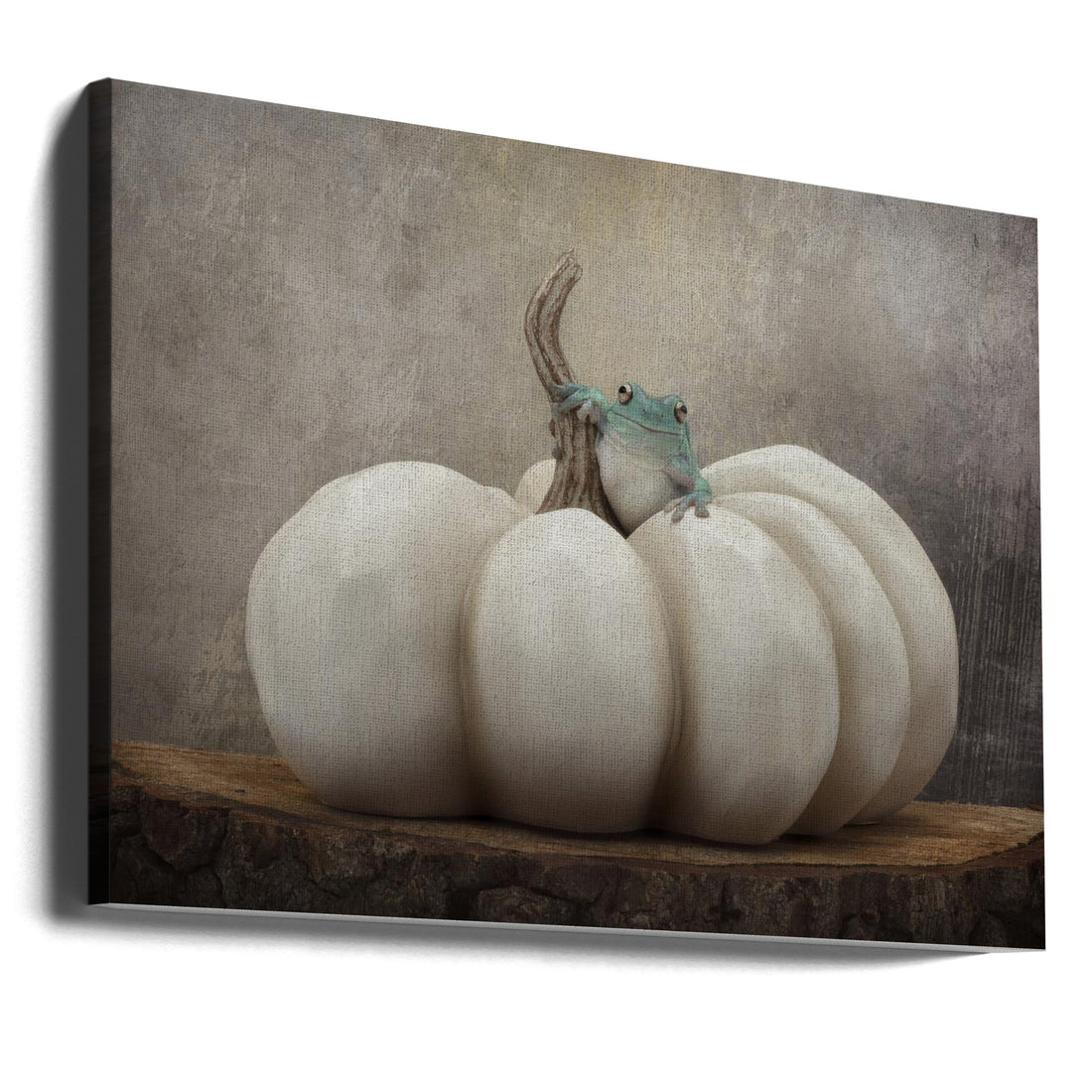 Fall Season with Blue by Linda D Lester | Animal Studio Photography, Large Canvas Wall Art Print | Artsy Earth