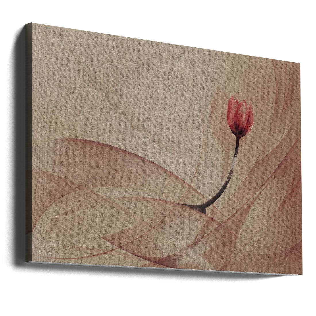 Floral Lines Art by Desislava Ignatova | Botanical Tulip Design, Large Canvas Wall Art Print | Artsy Earth