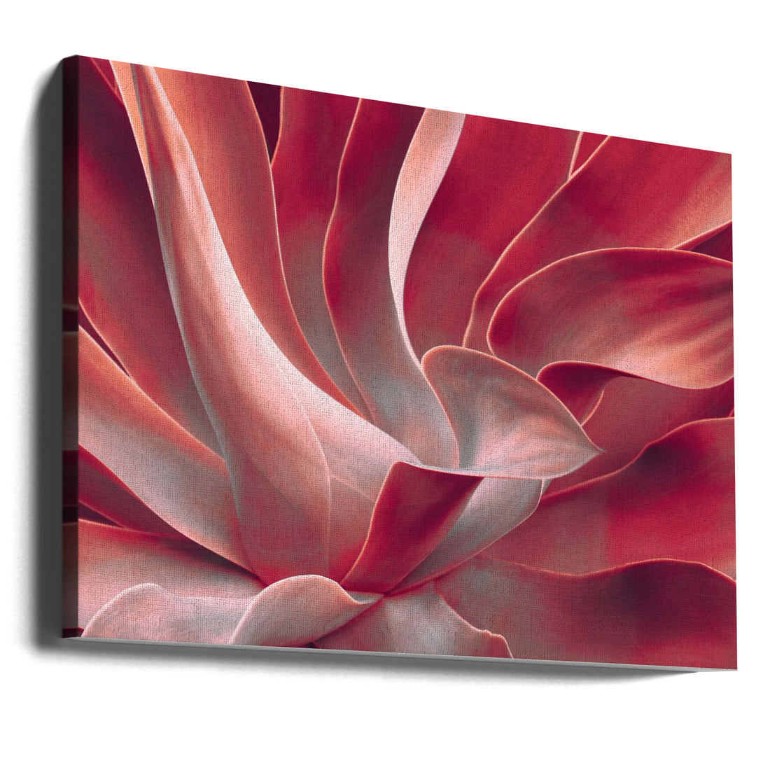 Leaves like satin ribbons by Robin Wechsler | Red Botanical Abstract, Large Canvas Wall Art Print | Artsy Earth