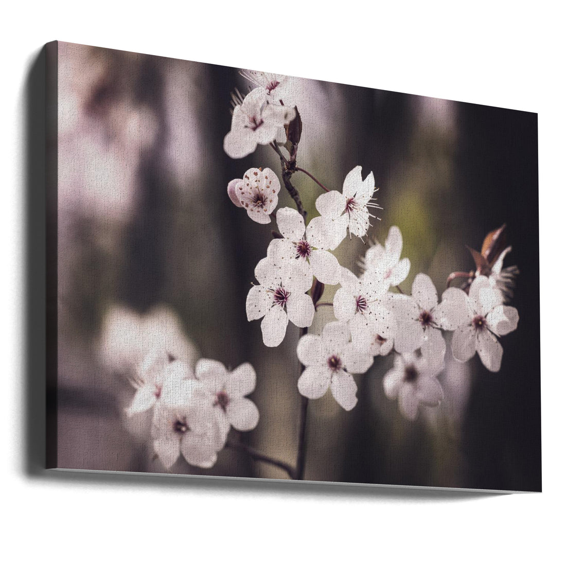 Cherry Blossoms by Kathrin Pienaar | Spring Floral Botanical, Large Canvas Wall Art Print | Artsy Earth