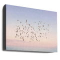 Sunset Flight by Kathrin Pienaar | Birds Migration Nature, Large Canvas Wall Art Print | Artsy Earth