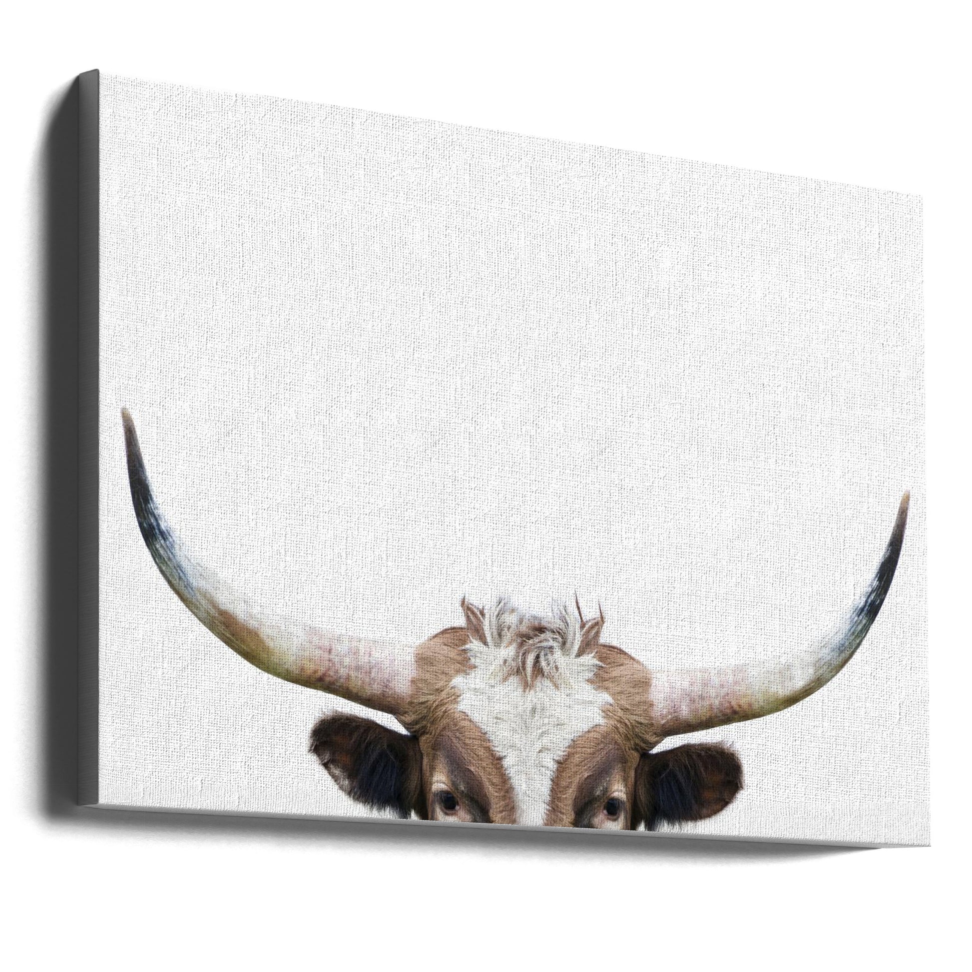 Peeking Longhorn Cow by Kathrin Pienaar | Animal Portrait Cattle, Large Canvas Wall Art Print | Artsy Earth