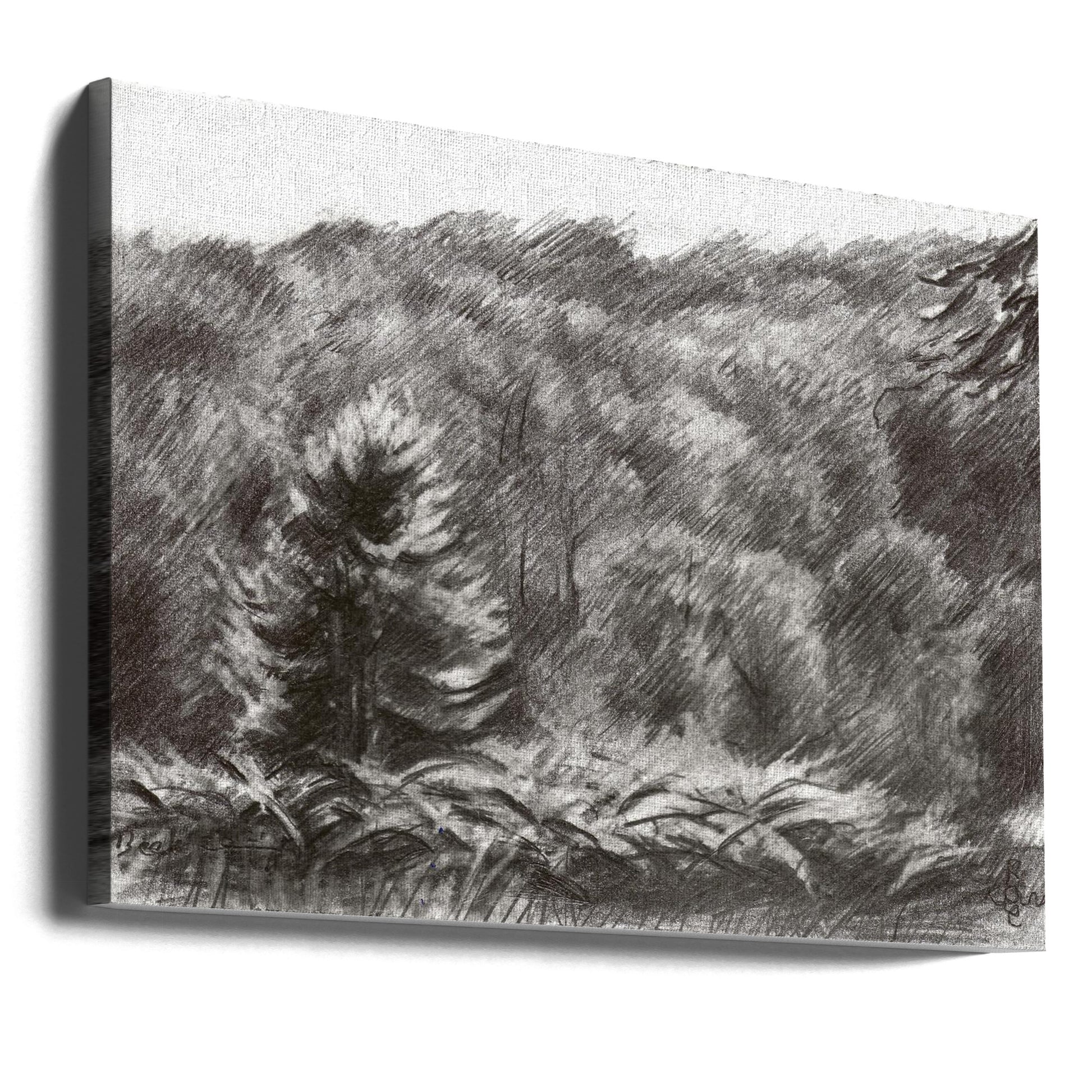 Forest Landscape by Corné Akkers | Monochrome Tree Drawing, Large Canvas Wall Art Print | Artsy Earth