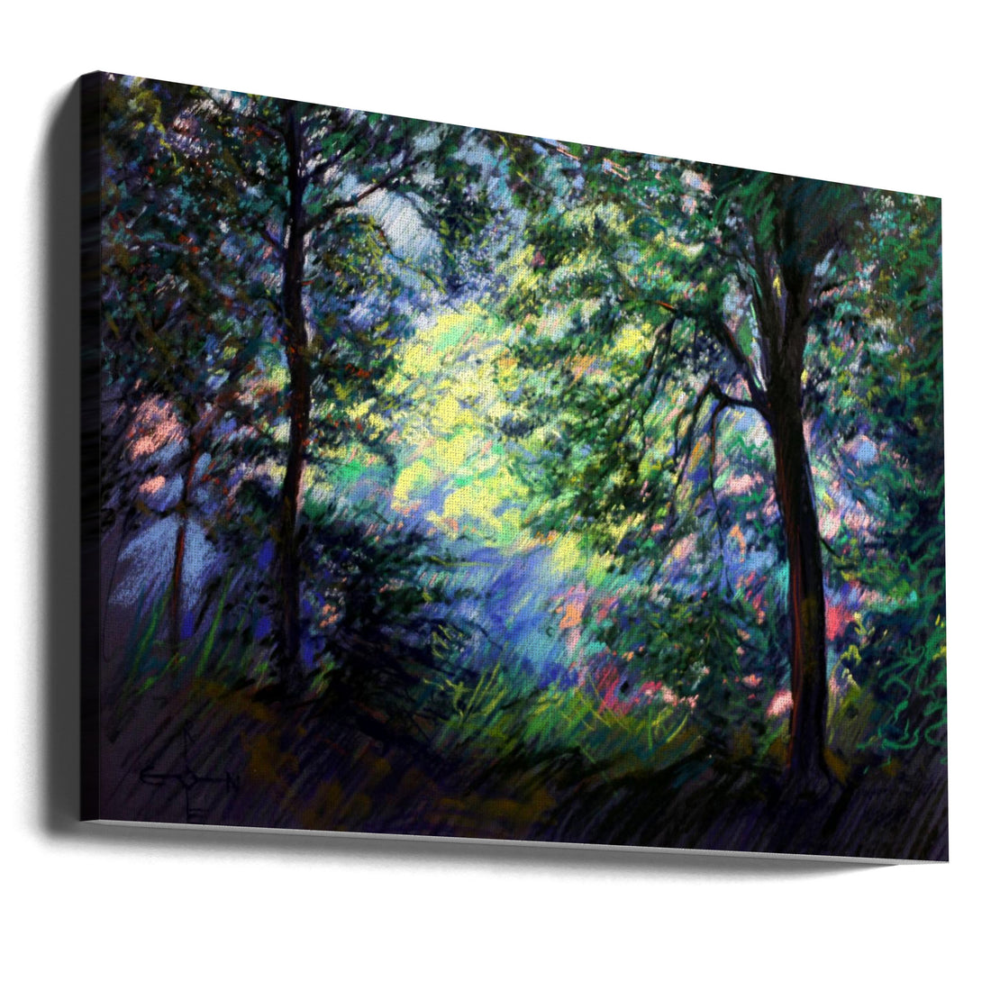 Forest Light Art by Corné Akkers | Tranquil Forest Landscape, Large Canvas Wall Art Print | Artsy Earth