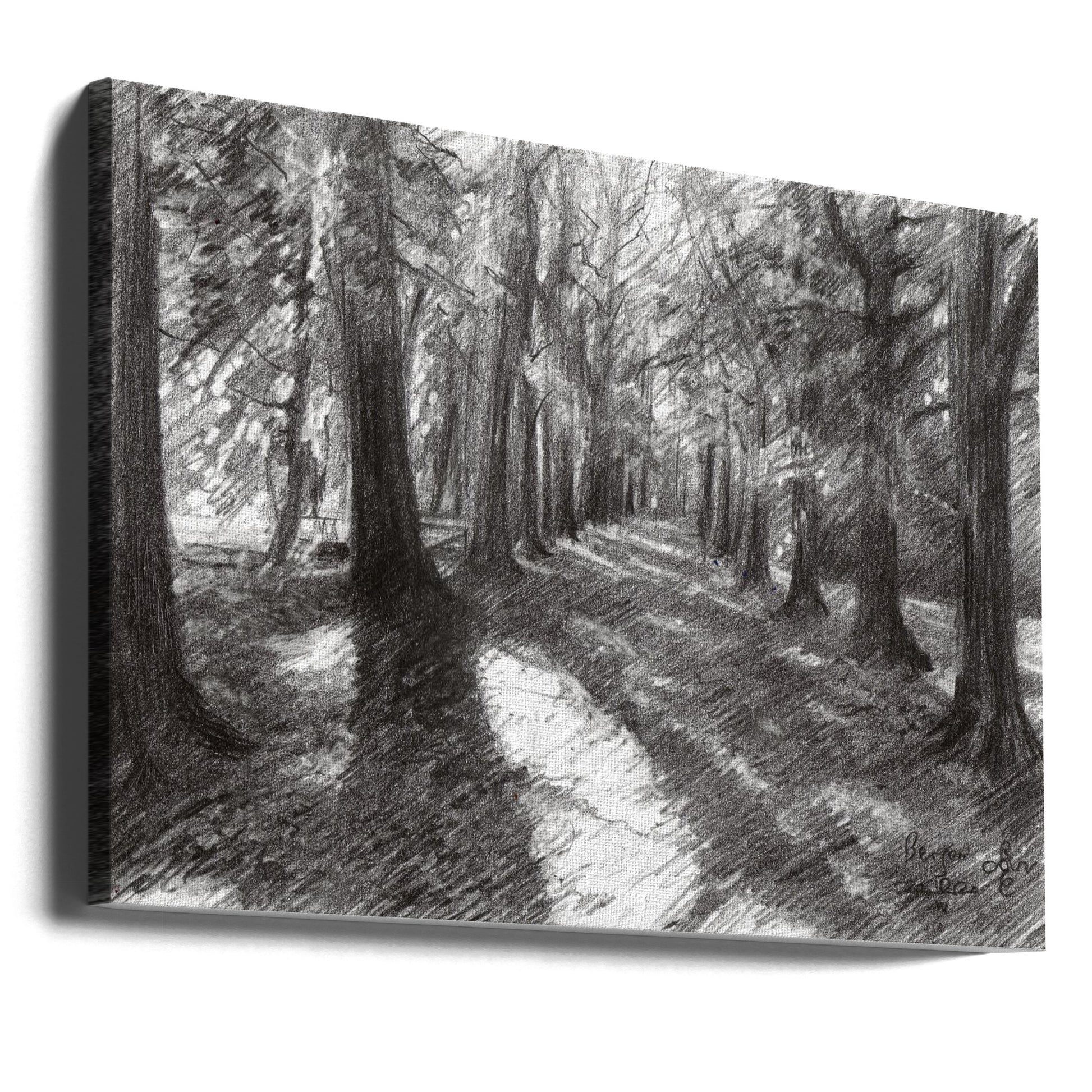 Forest Path Drawing by Corné Akkers | Black And White Landscape, Large Canvas Wall Art Print | Artsy Earth