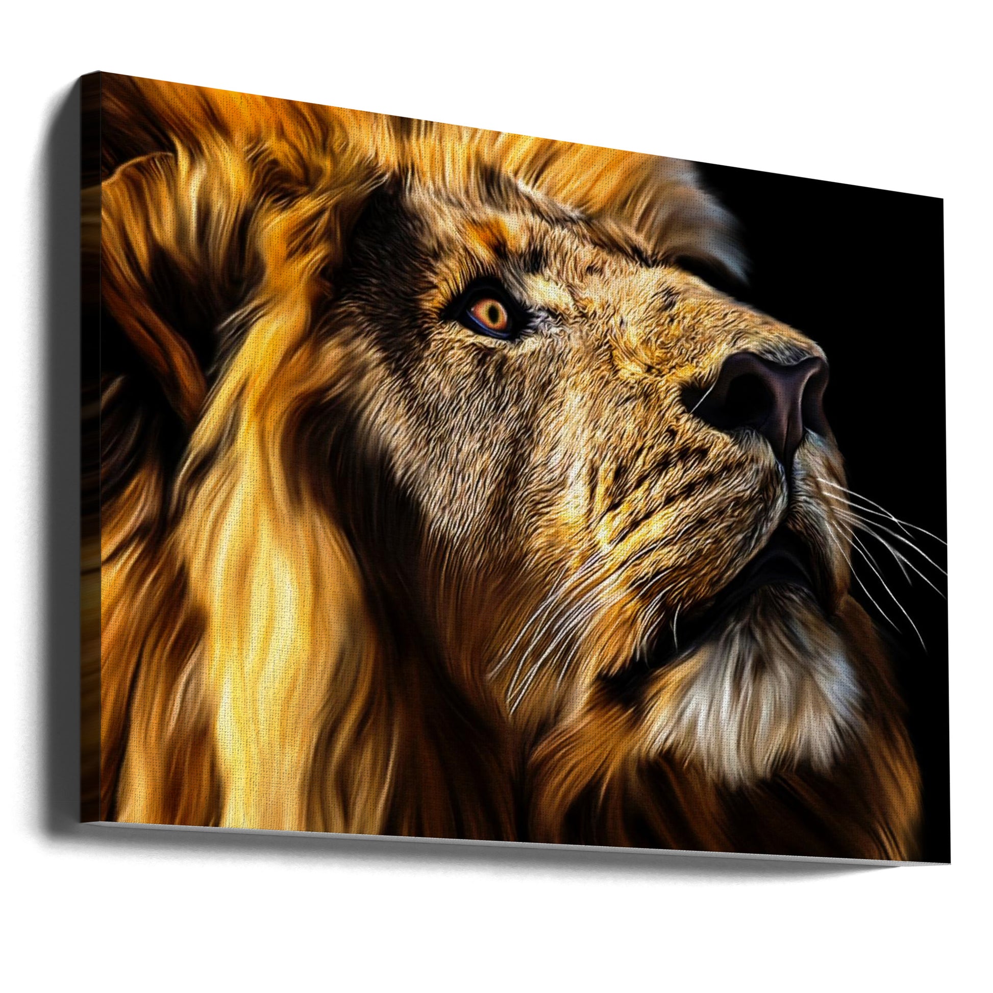 Lion Portrait Dark by Lord Amihere | Wild African Lion, Large Canvas Wall Art Print | Artsy Earth