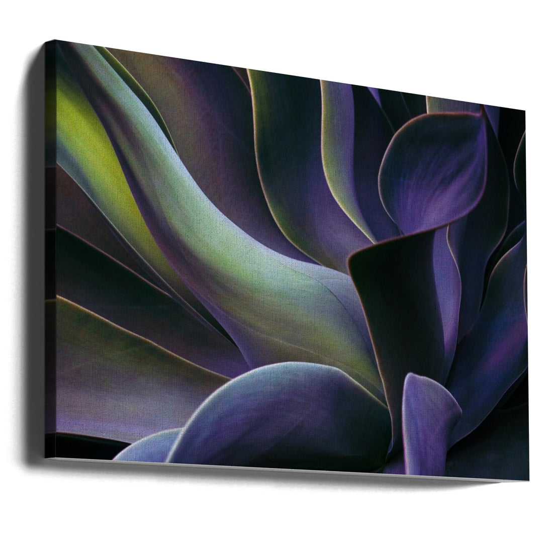 Moving towards winter by Robin Wechsler | Purple Floral Pattern, Large Canvas Wall Art Print | Artsy Earth