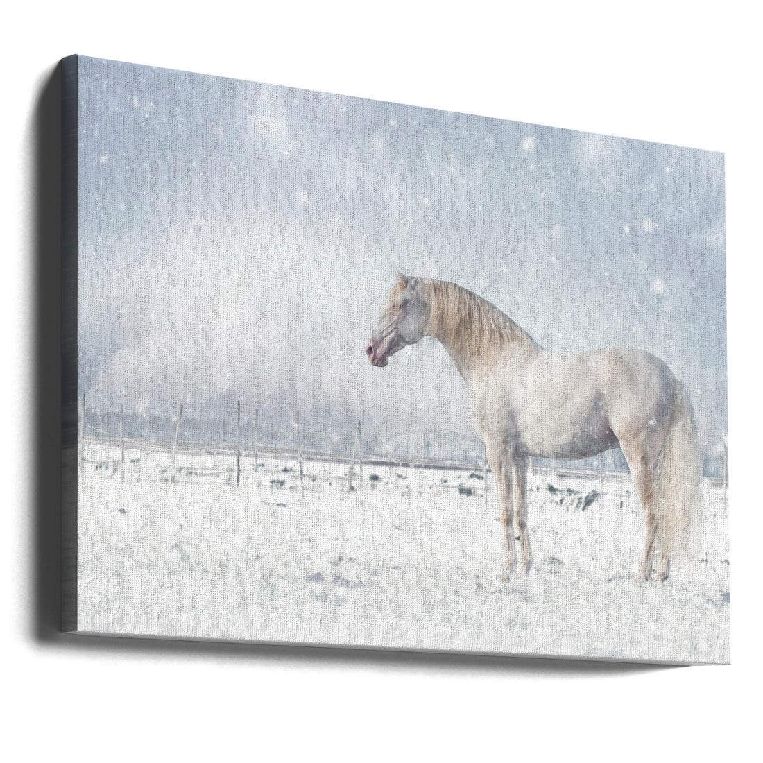 Let it snow... by Celine Weerink | Snowy Horse Landscape, Large Canvas Wall Art Print | Artsy Earth