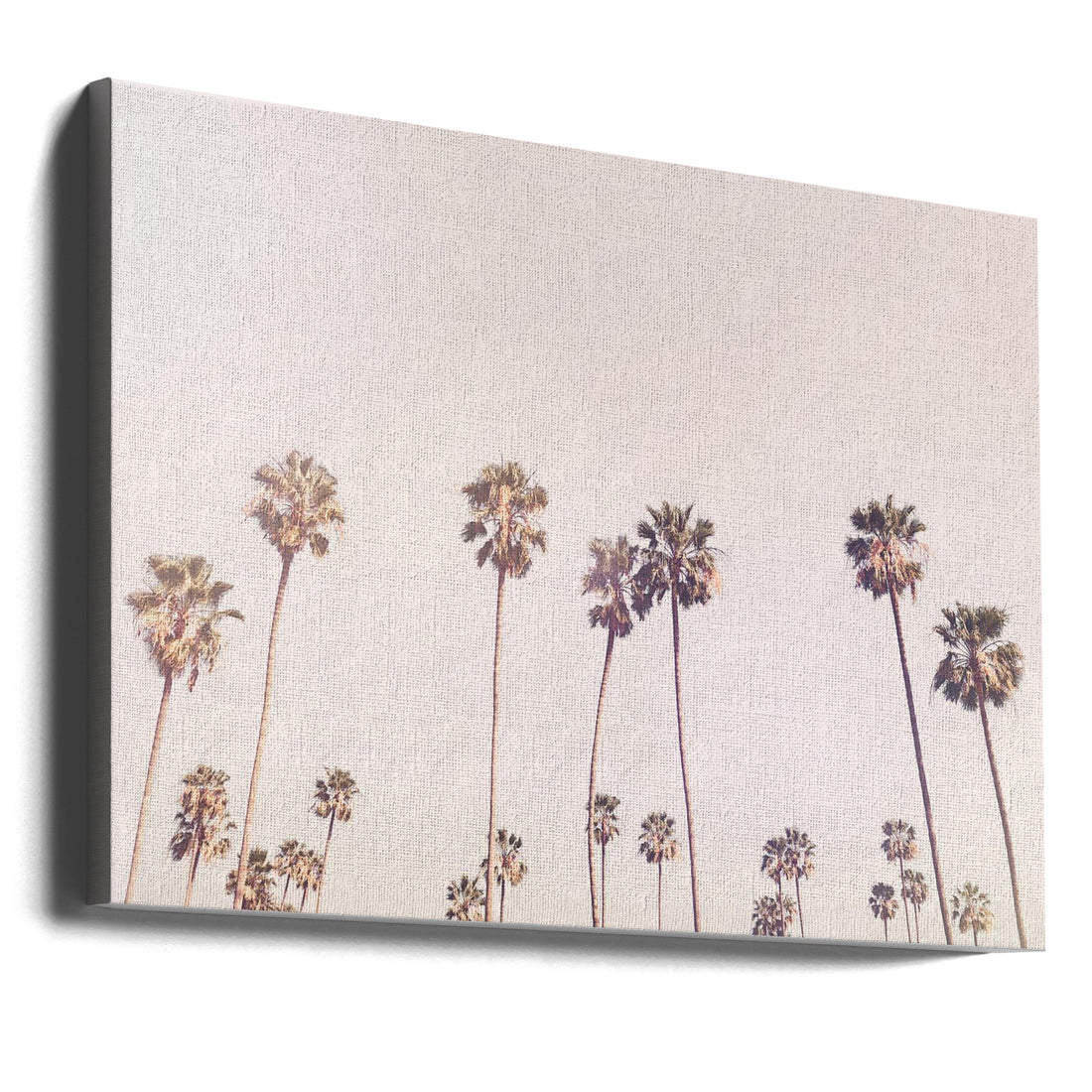 Sunny Cali Palm Trees by Kathrin Pienaar | Tropical Palm Landscape, Large Canvas Wall Art Print | Artsy Earth