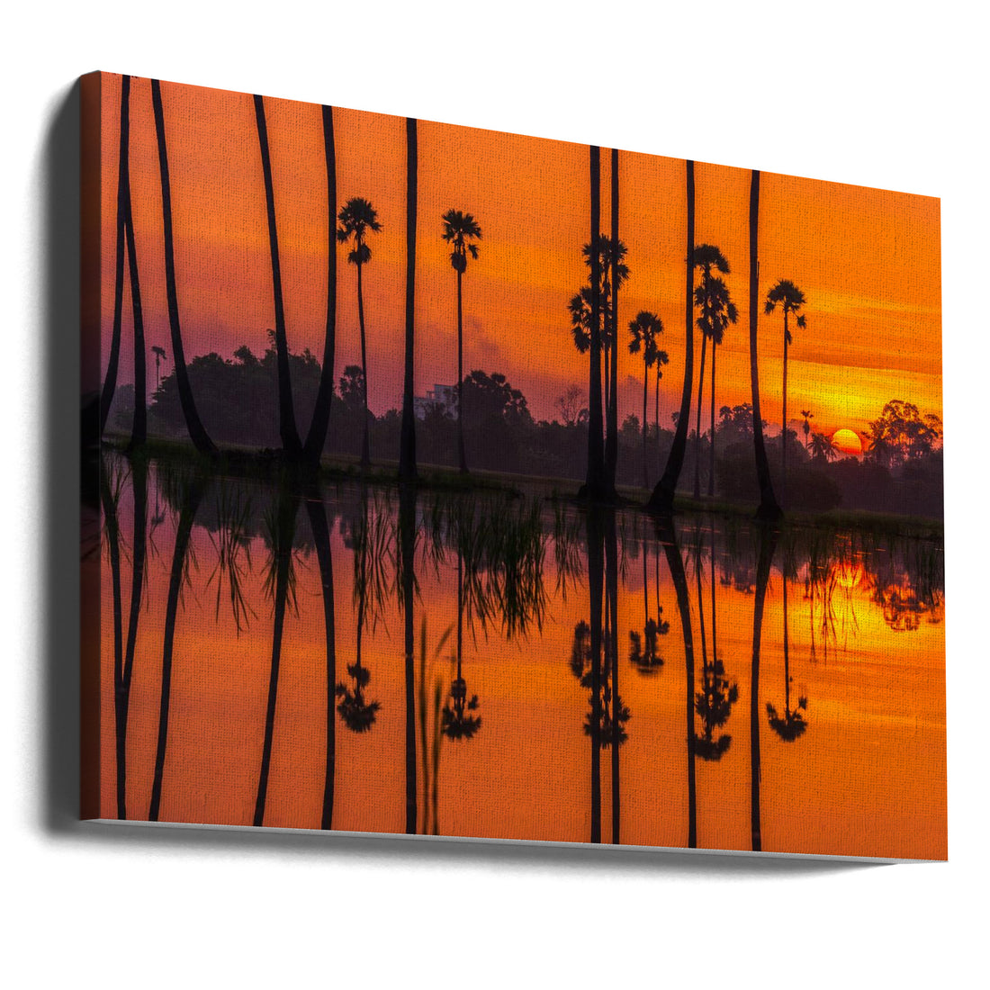 Sunrise at the rice field by Tepsarit Lantharntong | Tropical Landscape Dawn, Large Canvas Wall Art Print | Artsy Earth