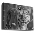 Tiger in Motion by Ozan Aktas | Wild Tiger Portrait, Large Canvas Wall Art Print | Artsy Earth